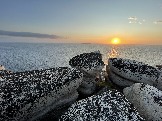 IMG_9417.jpeg