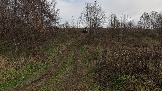 Трофи-лайф фото 4х4 День Рождения Трофи-лайф 17 лет 26.10.2024 -  (1).png