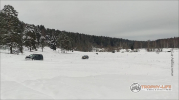Фото Трофи-лайф 4х4 покатушка Радужный Водопад 08.01.22 - 148.jpg