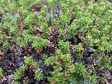 IMG_9335.jpeg