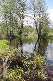 Фото Трофи-лайф 4х4 покатушка Мещерские Озёра 6-9.05.23 - 115.jpg
