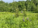 IMG_8769.JPG