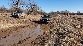 20250316_134825.jpg