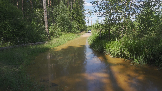 Трофи-лайф фото 4х4 Джип-тур в Подмосковье 24.07.2024 -  (75).png