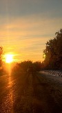 IMG_3595.JPG