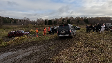 Трофи-лайф фото 4х4 День Рождения Трофи-лайф 17 лет Колонна 2 26.10.2024 -   (75).png