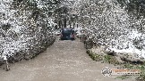 Фото Трофи-лайф 4х4 покатушка Новоистринские Просеки 28.10.23 - 443.jpg