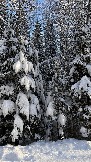 IMG_3210.JPG