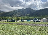 IMG_8496.JPEG