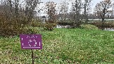 20231104_104225.jpg