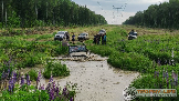 14нпон91.png