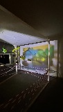 IMG_1087.jpg