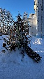 IMG_3641.JPG