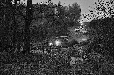 24-10-26_trophy-life_17 _0495jpg_web.jpg