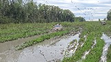 20260510_171755.jpg