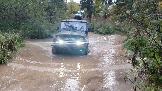 20231011_165043.jpg