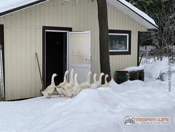 Фото Трофи-лайф 4х4 покатушка-экспедиция Ярославская Сказка 3-6.01.23 -- (1).JPG