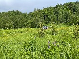 IMG_8756.JPG