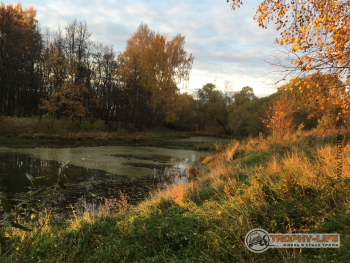 Фото Трофи-лайф 4х4 покатушка Берендеево Царство 09.10.21 - 133.JPG