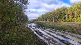 Трофи-лайф фото 4х4 покатушка Пещера Володары 03.10.2026 - 116.JPG