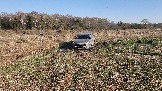 20250420_165808.jpg