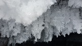 20240303_131314.jpg