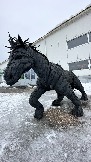 IMG_1033.jpg