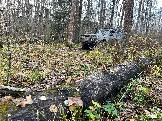 IMG_6996.JPG