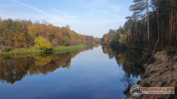 Фото Трофи-лайф 4х4 покатушка Мещерские Скитания 03.10.20 - 116.jpg