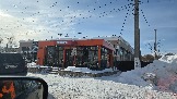20260222_104916.jpg