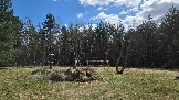 20260502_125142.jpg