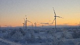 20251123_103916.jpg