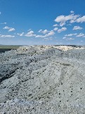 Трофи-лайф Экспедиция Казахстан Май 2024 (133).jpg