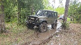20260510_113116.jpg