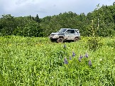 IMG_8779.JPG