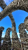 IMG_1415.jpg