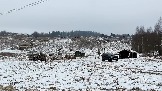 Трофи-лайф фото 4х4 покатушка Рогачевские Сокровища  08.02.2025 - (4).jpg