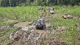 20260510_144501.jpg