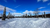IMG_1387.jpg