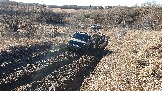 20250308_161733.jpg