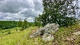 IMG_1200.jpg