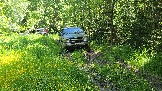 20260606_114818.jpg
