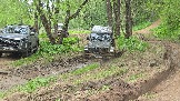 20250518_131919.jpg