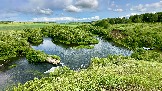 IMG_1330.jpg