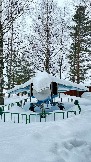 IMG_7619.jpg