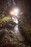 24-10-26_trophy-life_17 _0533jpg_web.jpg