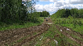 Трофи-лайф фото 4х4 покатушка Рогачёвские Сокровища 11.05.2024 - (118).png