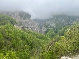 IMG_8499.JPEG