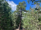 IMG_8659.JPEG