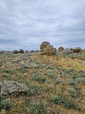 Трофи-лайф Экспедиция Казахстан Май 2024 (60).jpg